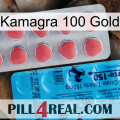 Kamagra 100 Gold new14